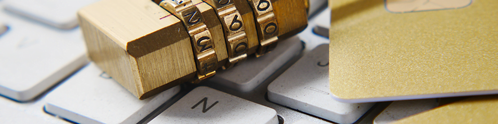 bloqueo de ataques de fuerza bruta en wordpress